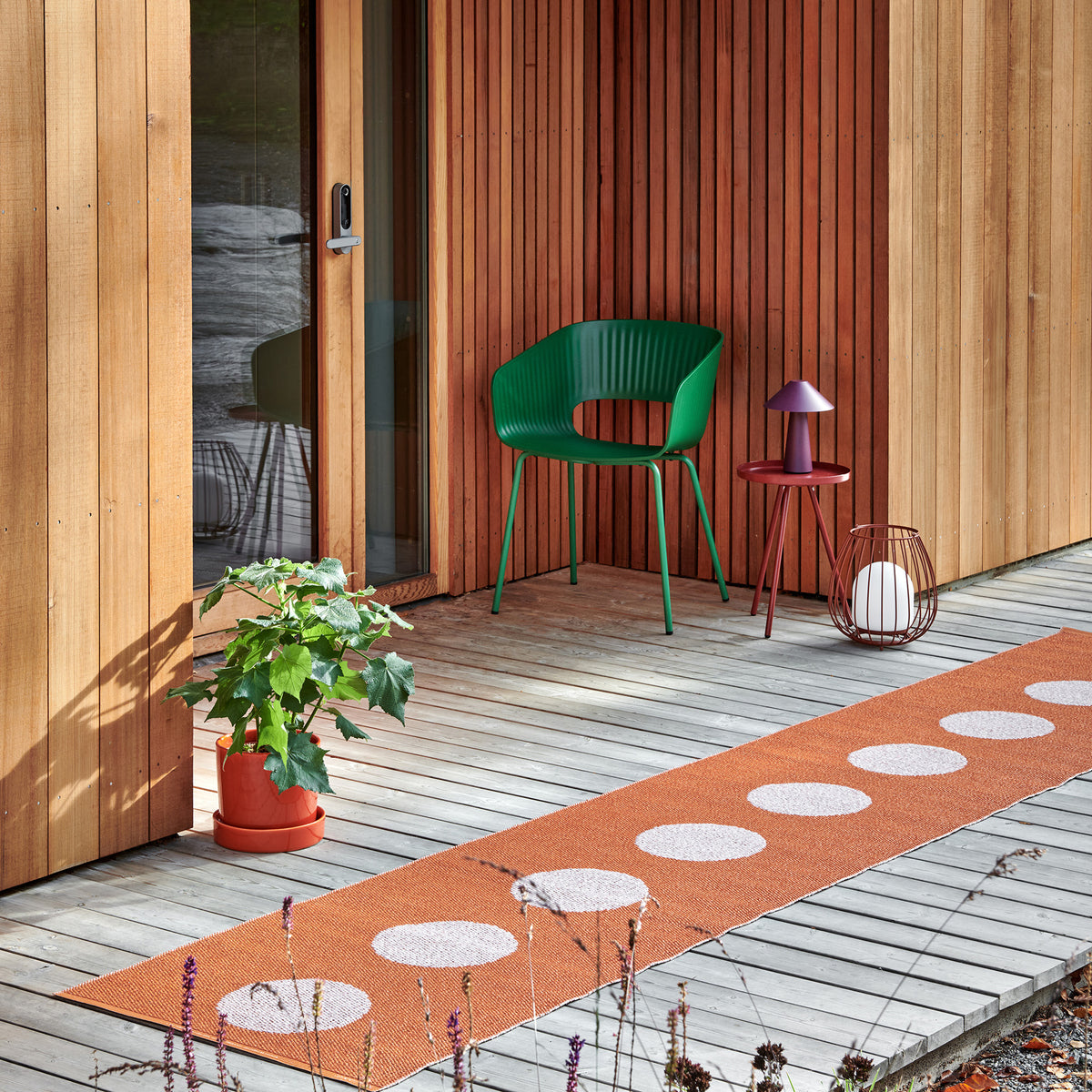 Pappelina x Bloomindales 3