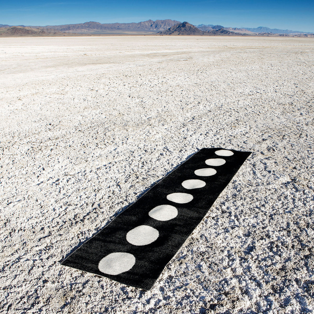 Pappelina x Bloomindales 3