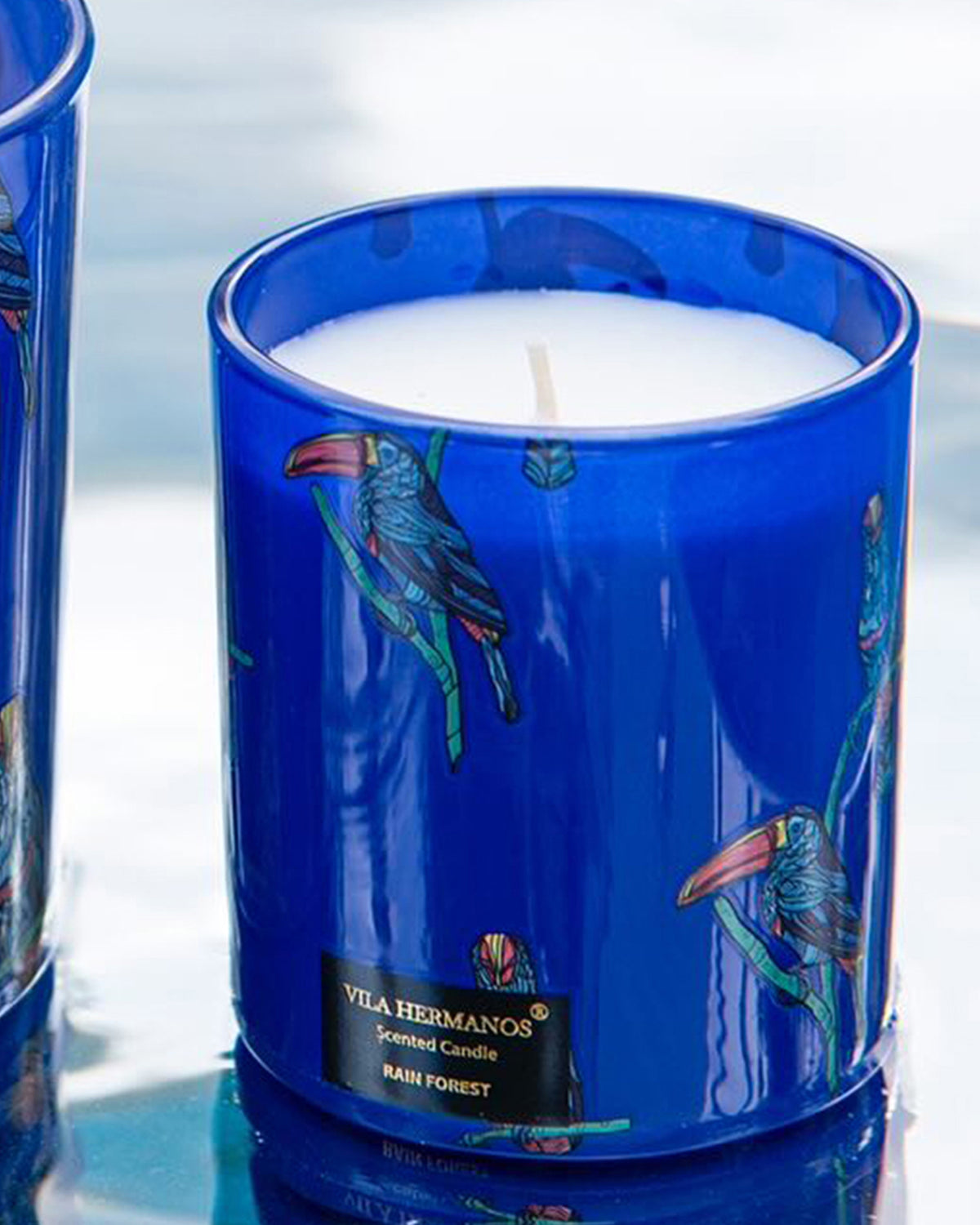 Candle in Jar JUNGLETOPIA RAIN FOREST 7oz Tucan