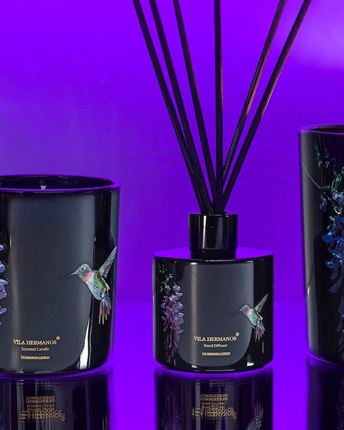 Candle in Jar JUNGLETOPIA 7oz Colibri Hummingbird