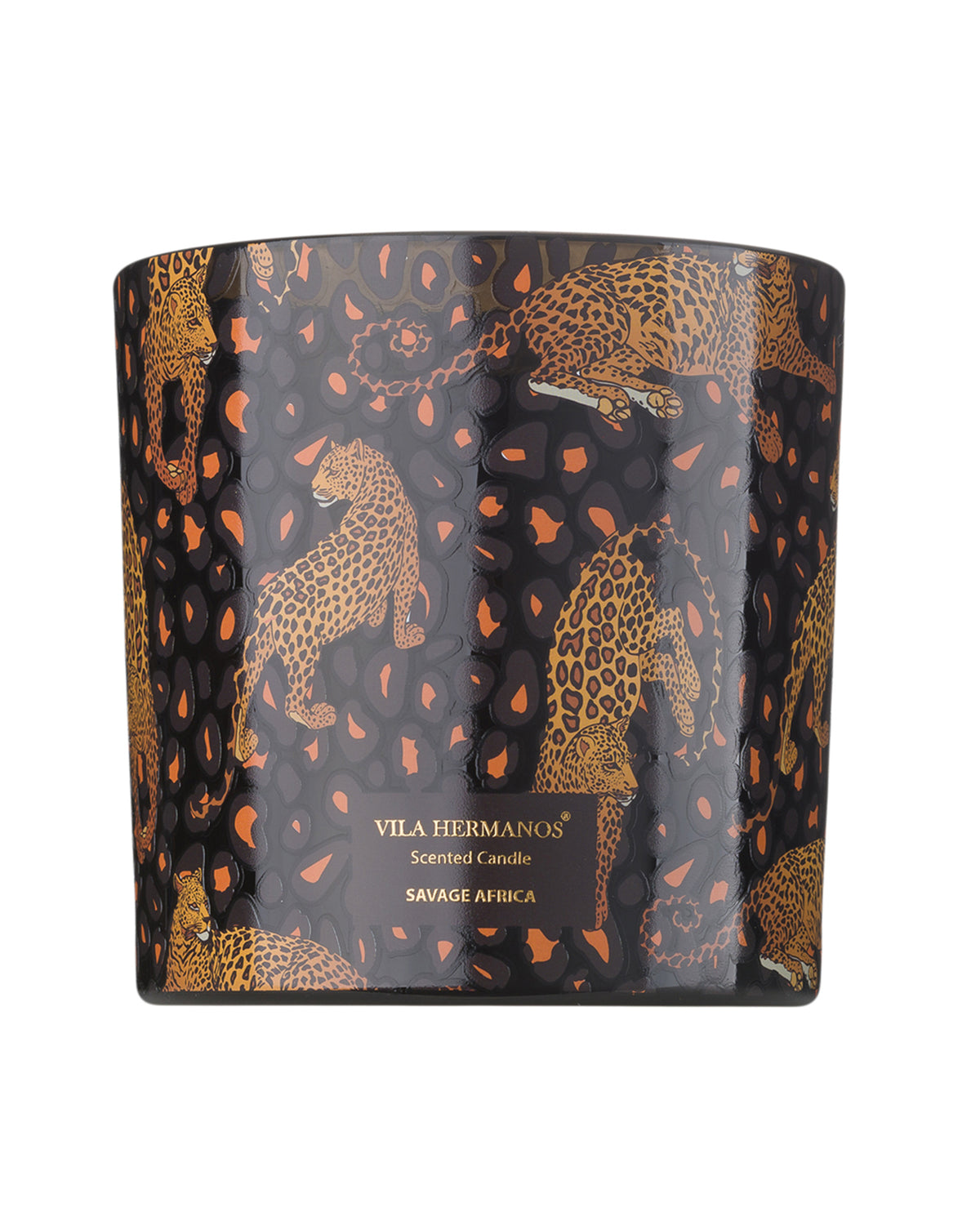 Candle in Jar JUNGLETOPIA 23oz Leopard Savage Africa