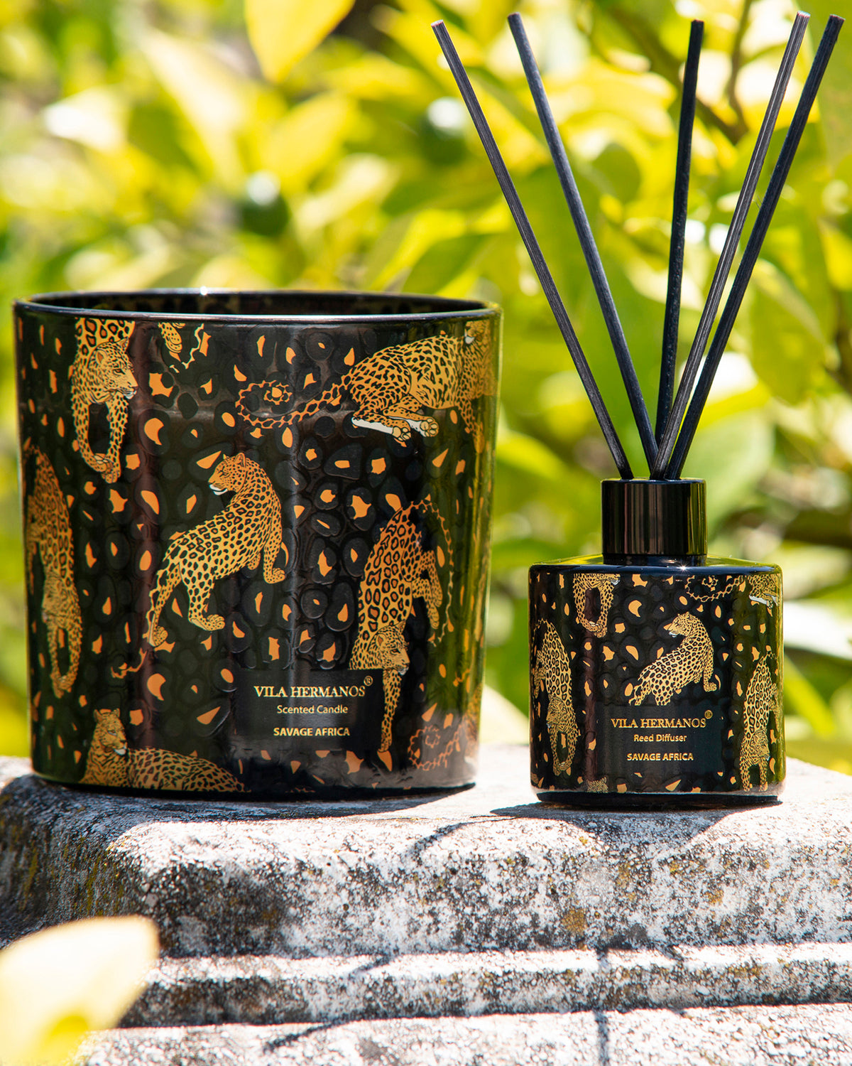 Candle in Jar JUNGLETOPIA 23oz Leopard Savage Africa