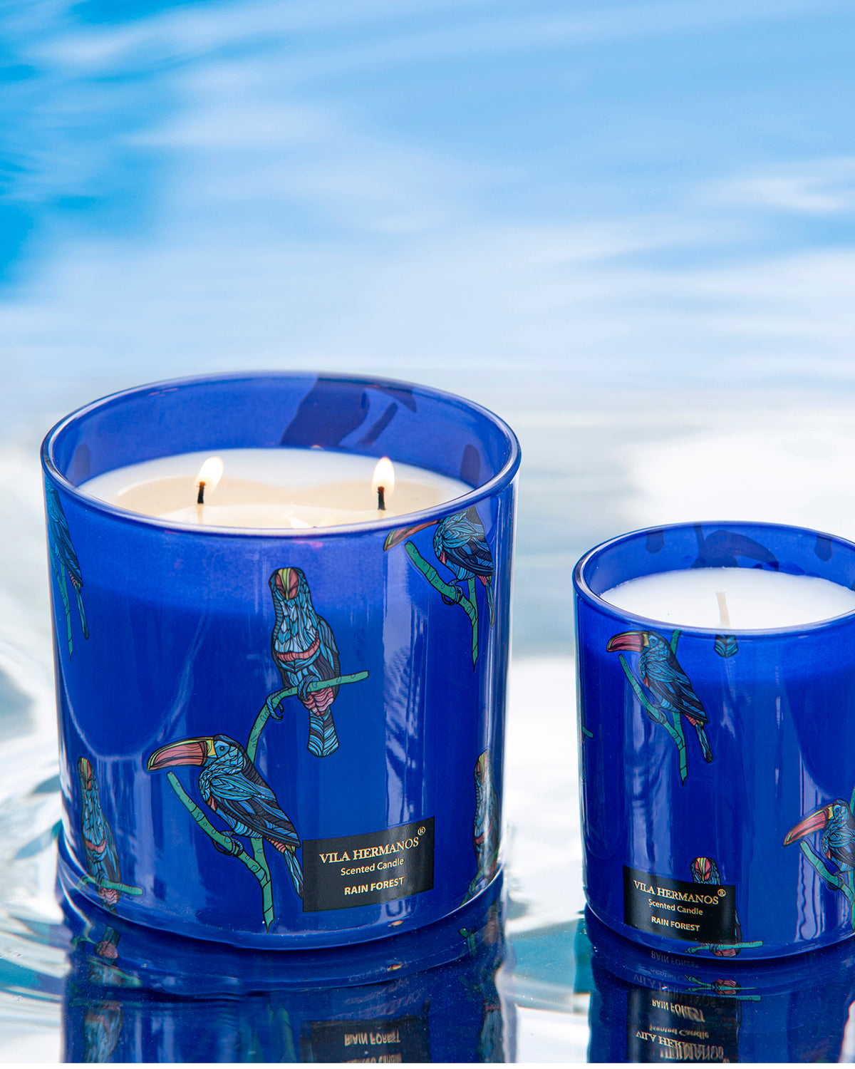 Candle in Jar JUNGLETOPIA 23oz Tucano
