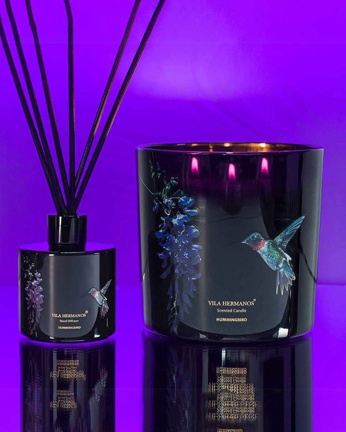 Candle in Jar JUNGLETOPIA 23oz Colibri Hummingbird