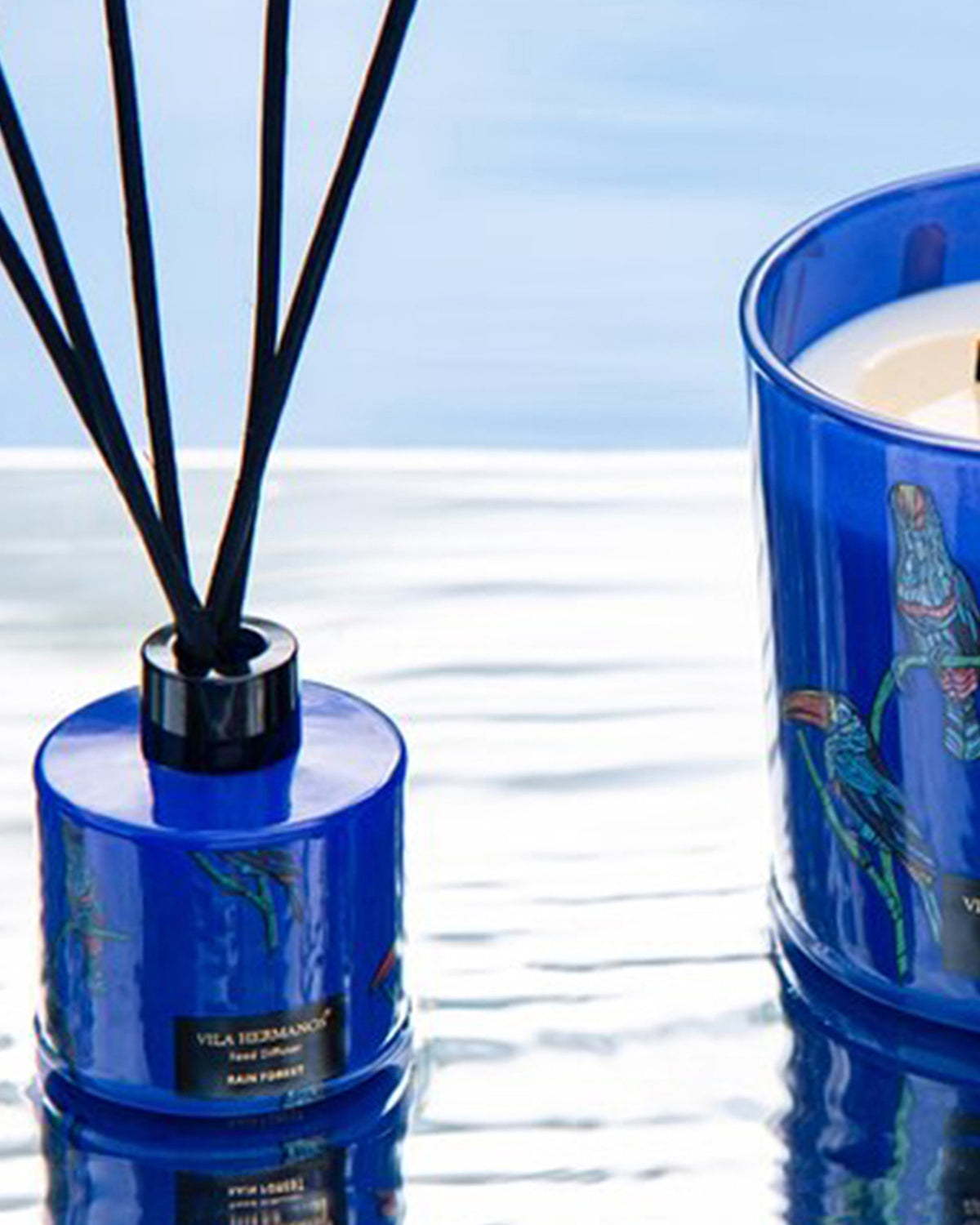 Diffuser Mikado Reed JUNGLETOPIA 3.3oz Tucano Rain Forest