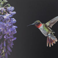 Diffuser Mikado Reed JUNGLETOPIA 3.3oz Colibri Hummingbird