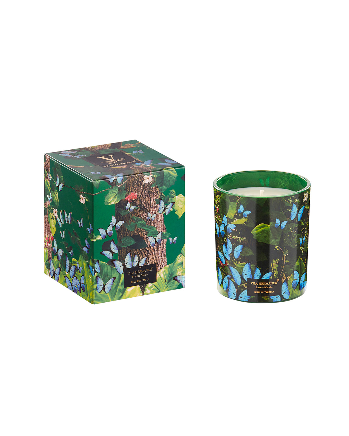 Candle in Jar JUNGLETOPIA 7oz Blue Butterfly