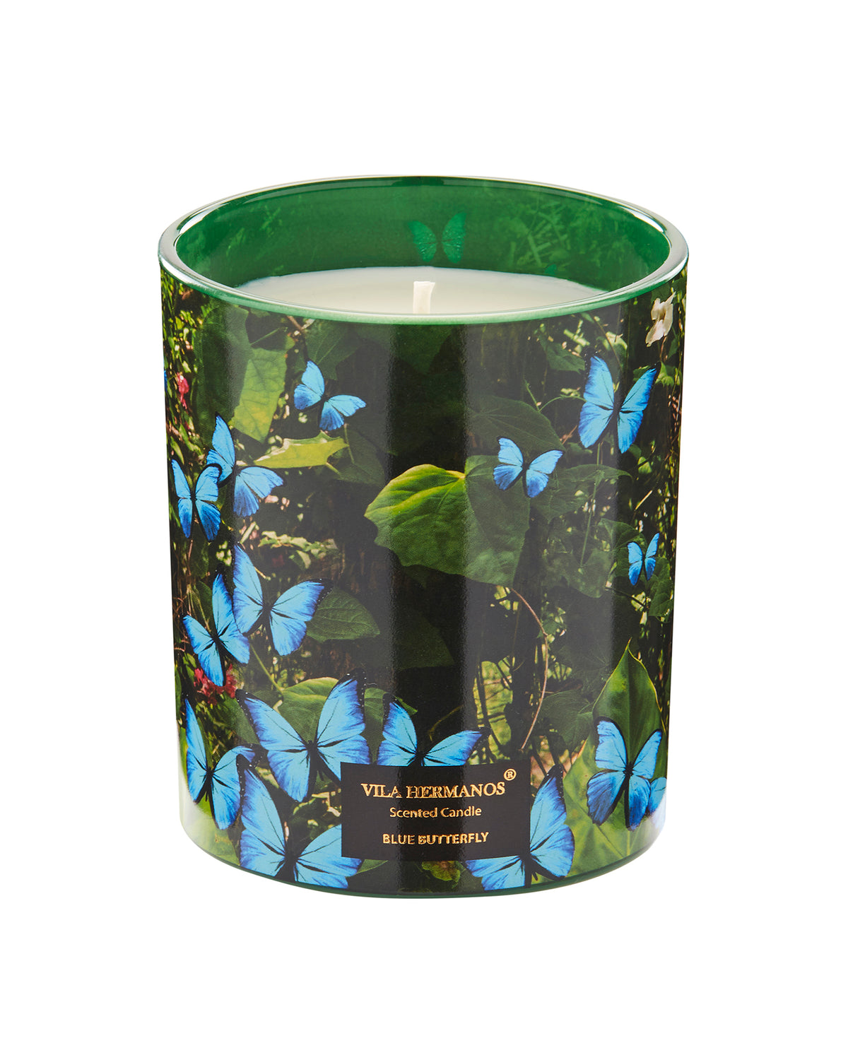 Candle in Jar JUNGLETOPIA 7oz Blue Butterfly
