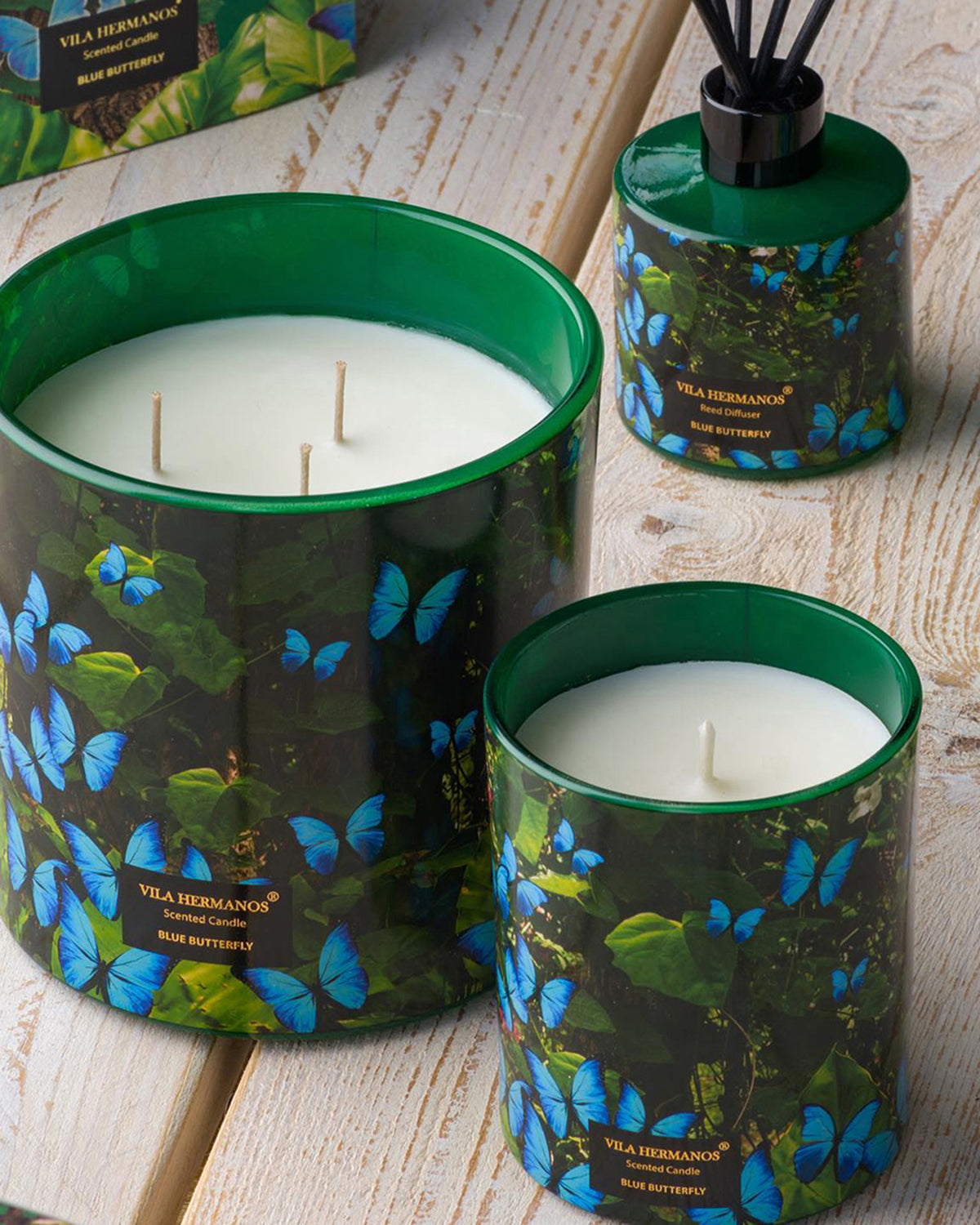 Candle in Jar JUNGLETOPIA 7oz Blue Butterfly