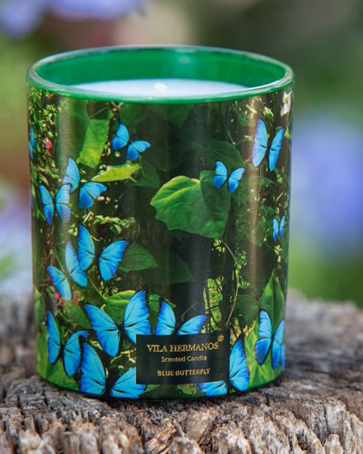 Candle in Jar JUNGLETOPIA 7oz Blue Butterfly