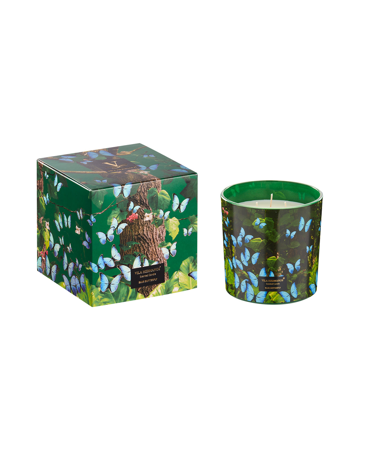 Candle in Jar JUNGLETOPIA 23oz Blue Butterfly