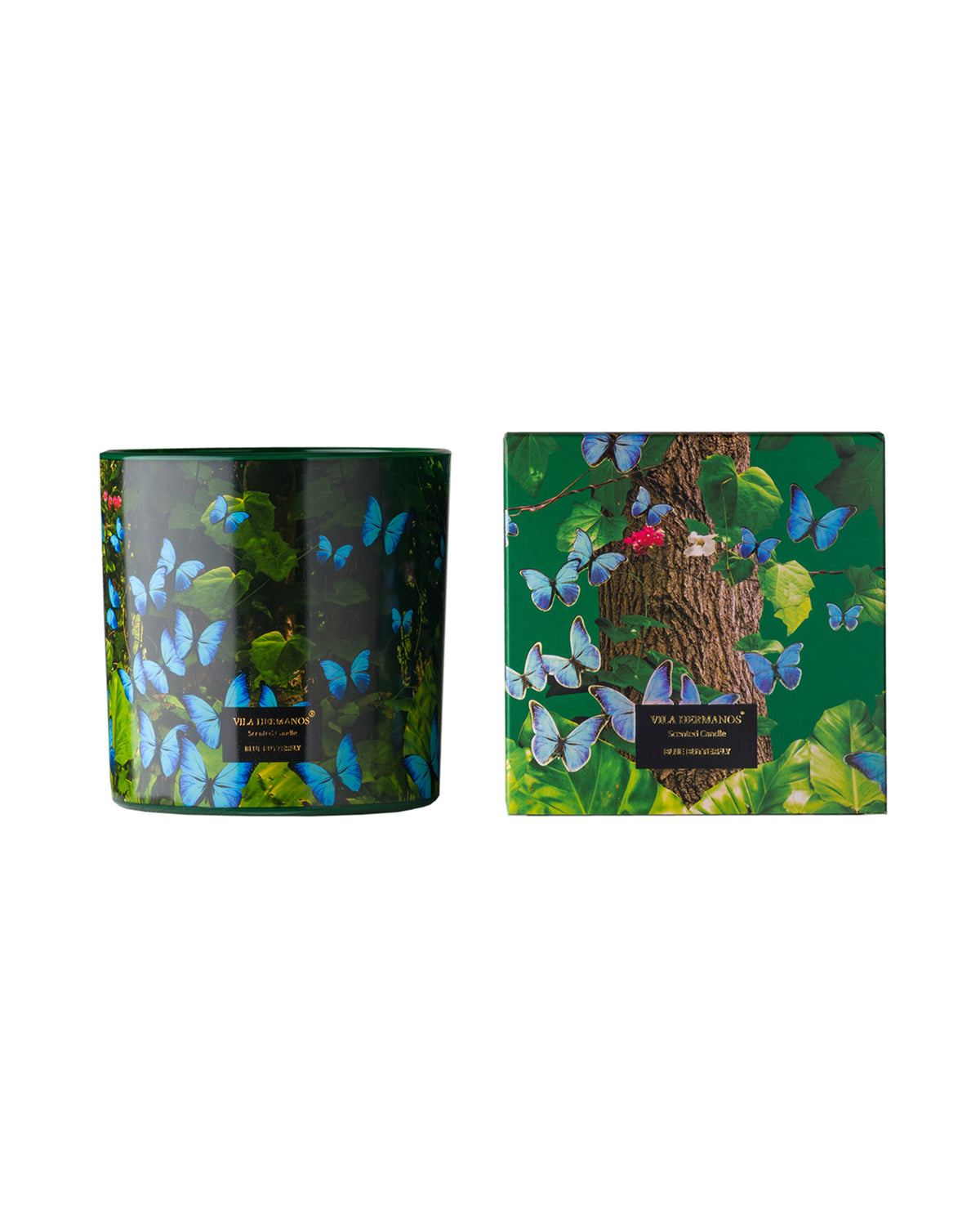 Candle in Jar JUNGLETOPIA 23oz Blue Butterfly