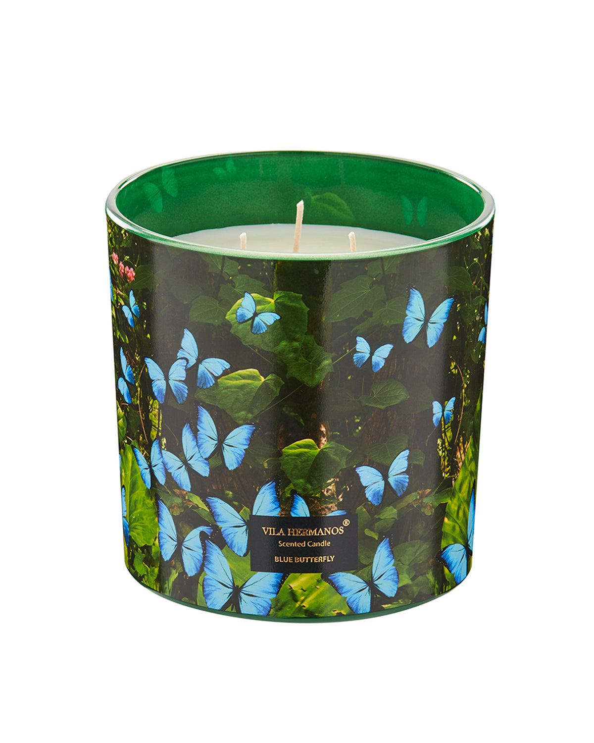 Candle in Jar JUNGLETOPIA 23oz Blue Butterfly