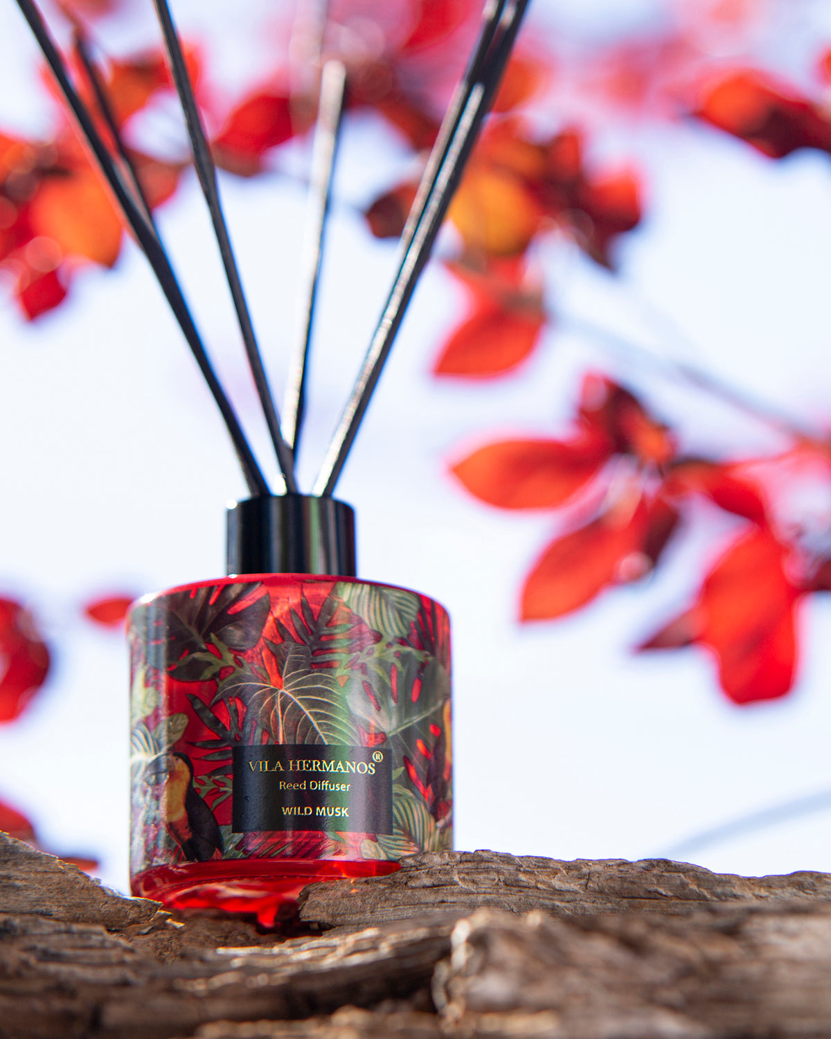 Diffuser Mikado Reed JUNGLETOPIA 3.3oz Wild Musk