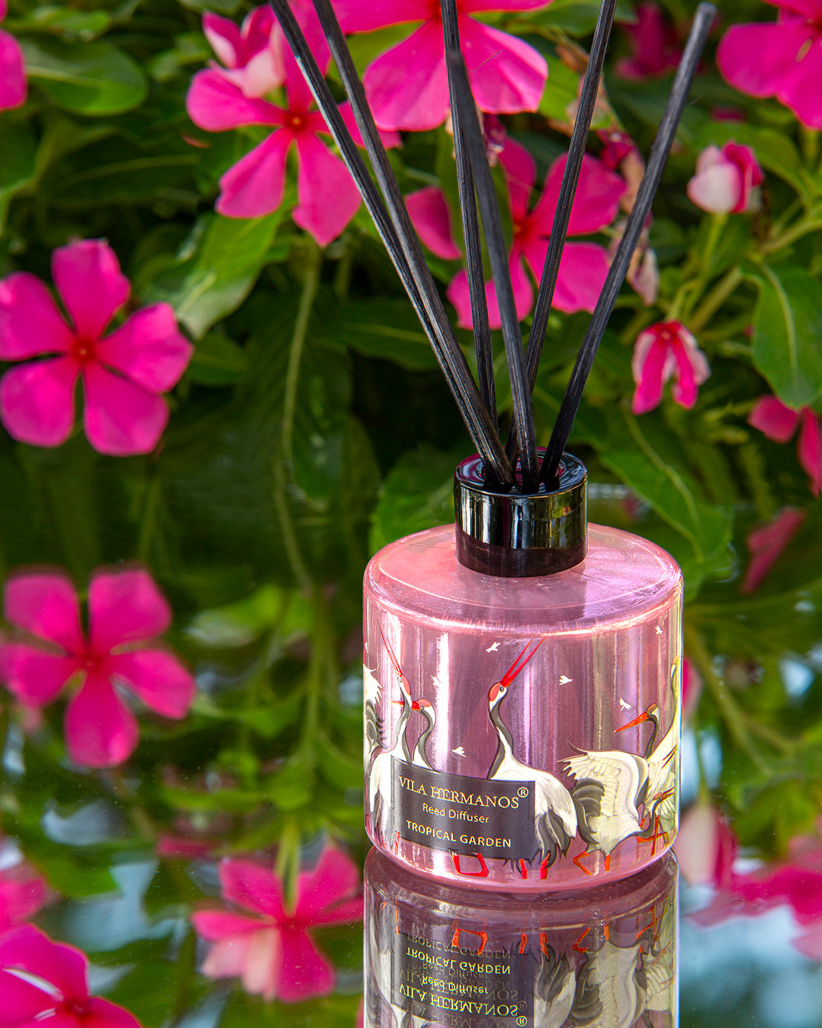 Reed Diffuser JUNGLETOPIA FLAMINGO PINK 100ml