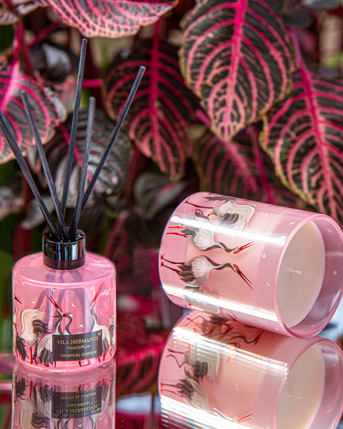 Reed Diffuser JUNGLETOPIA FLAMINGO PINK 100ml