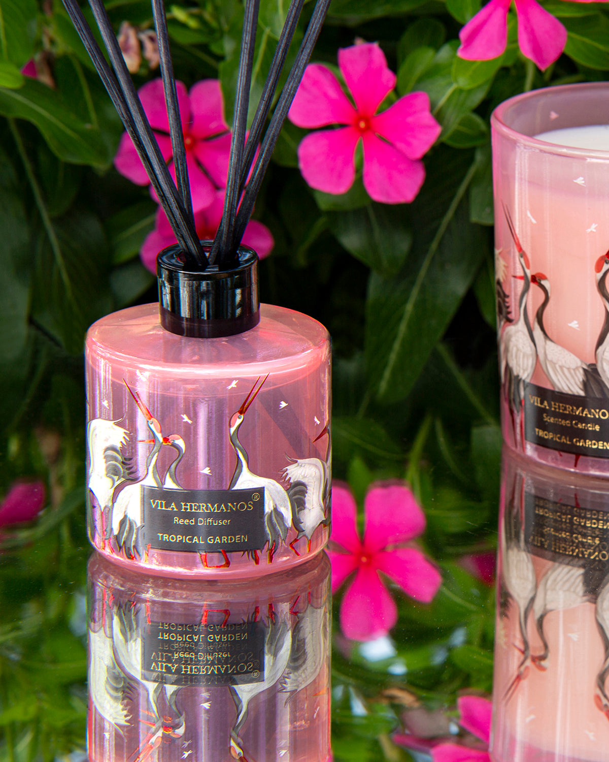 Reed Diffuser JUNGLETOPIA FLAMINGO PINK 100ml