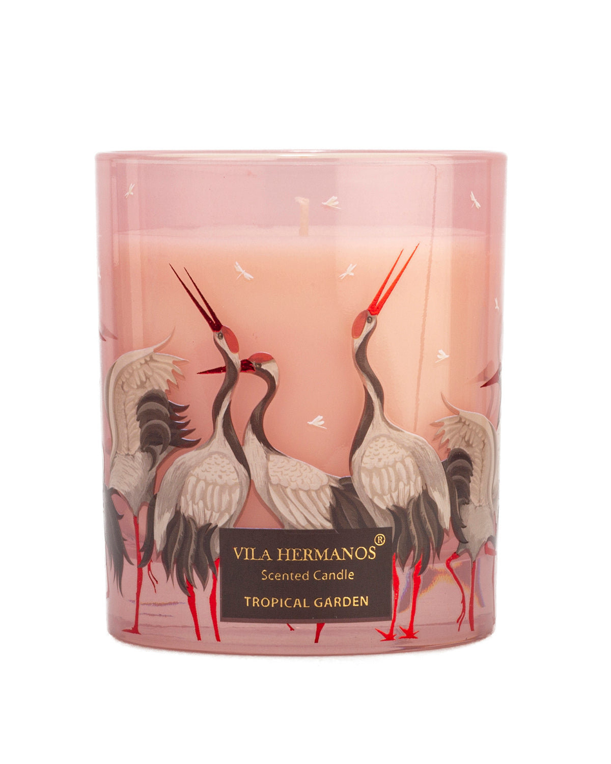 Candle in Jar JUNGLETOPIA FLAMINGO PINK 200gr 3.35 diam. x 4.13 in