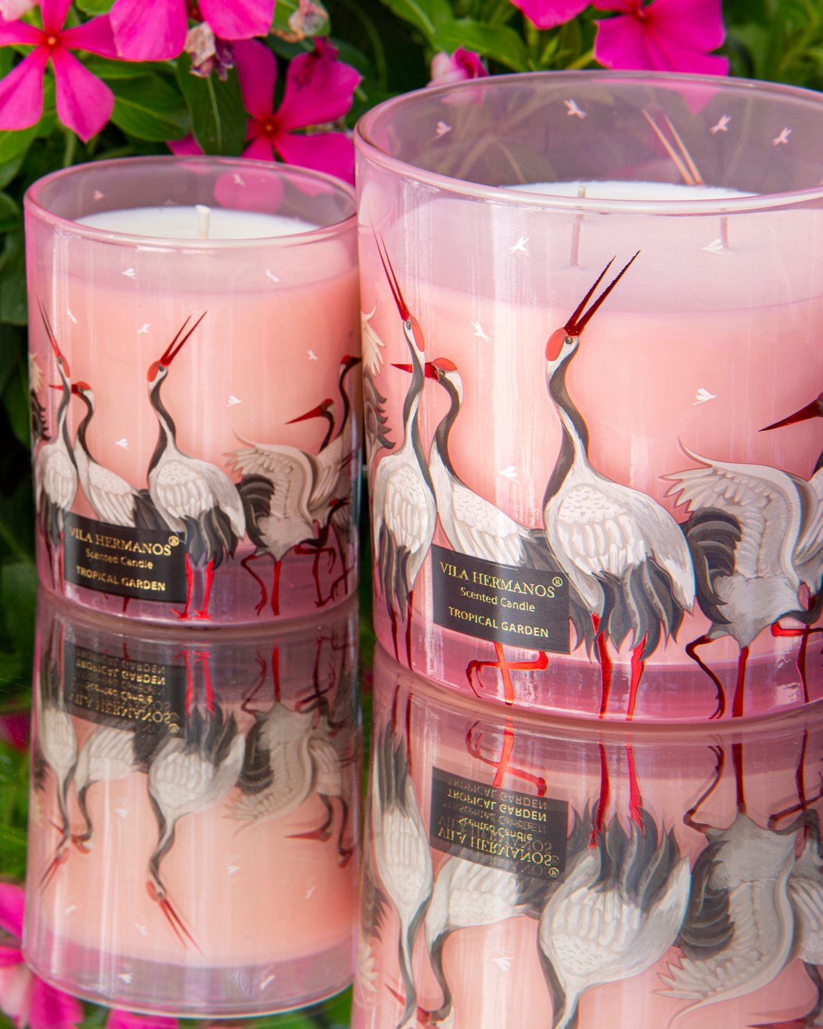 Candle in Jar JUNGLETOPIA FLAMINGO PINK 200gr 3.35 diam. x 4.13 in