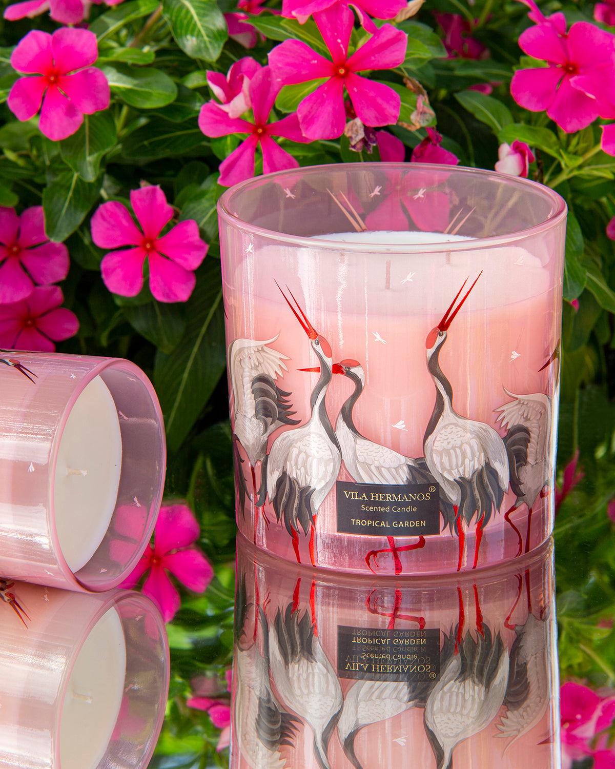 Candle in Jar JUNGLETOPIA FLAMINGO PINK 200gr 3.35 diam. x 4.13 in
