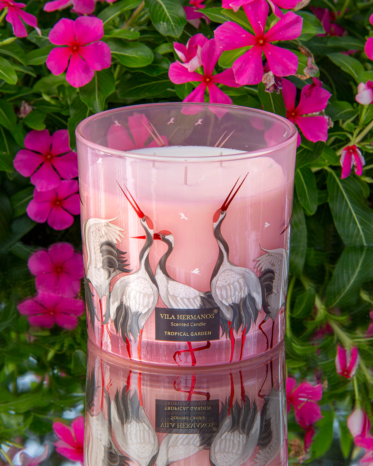 Candle in Jar JUNGLETOPIA FLAMINGO PINK 200gr 3.35 diam. x 4.13 in