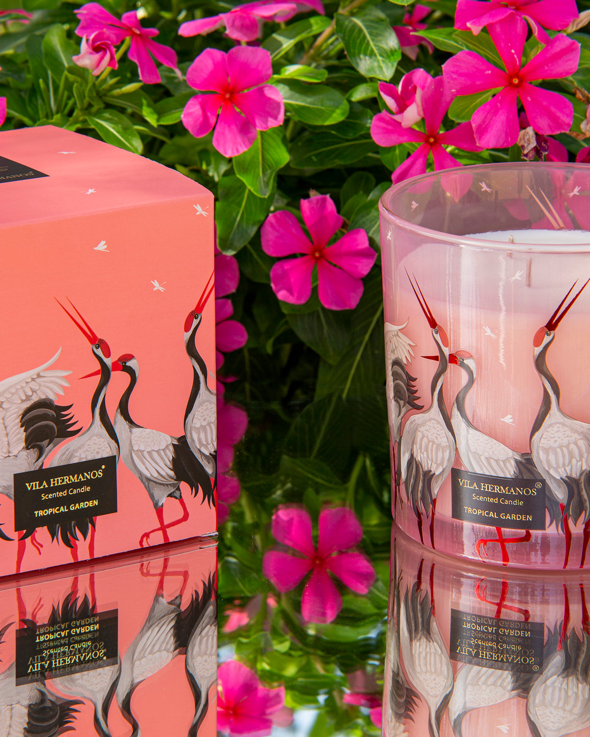 Candle in Jar JUNGLETOPIA FLAMINGO PINK 200gr 3.35 diam. x 4.13 in