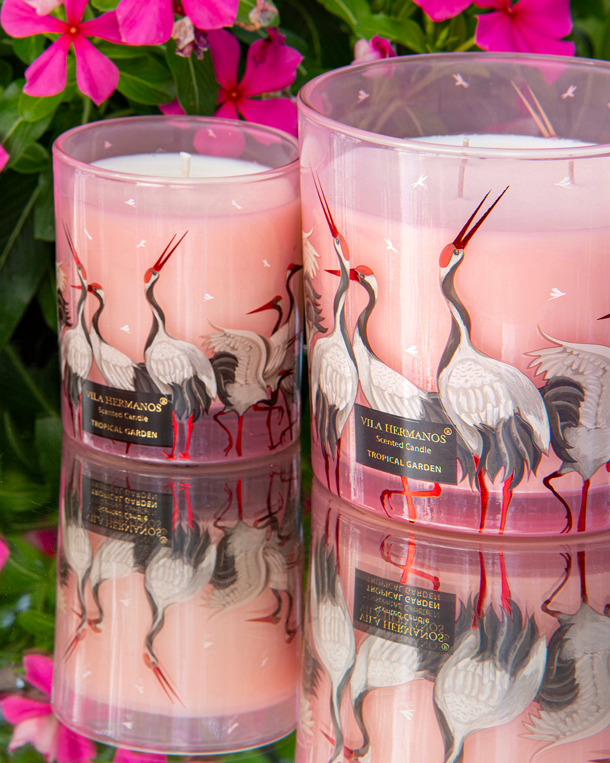 Candle in Jar JUNGLETOPIA FLAMINGO PINK 650gr
