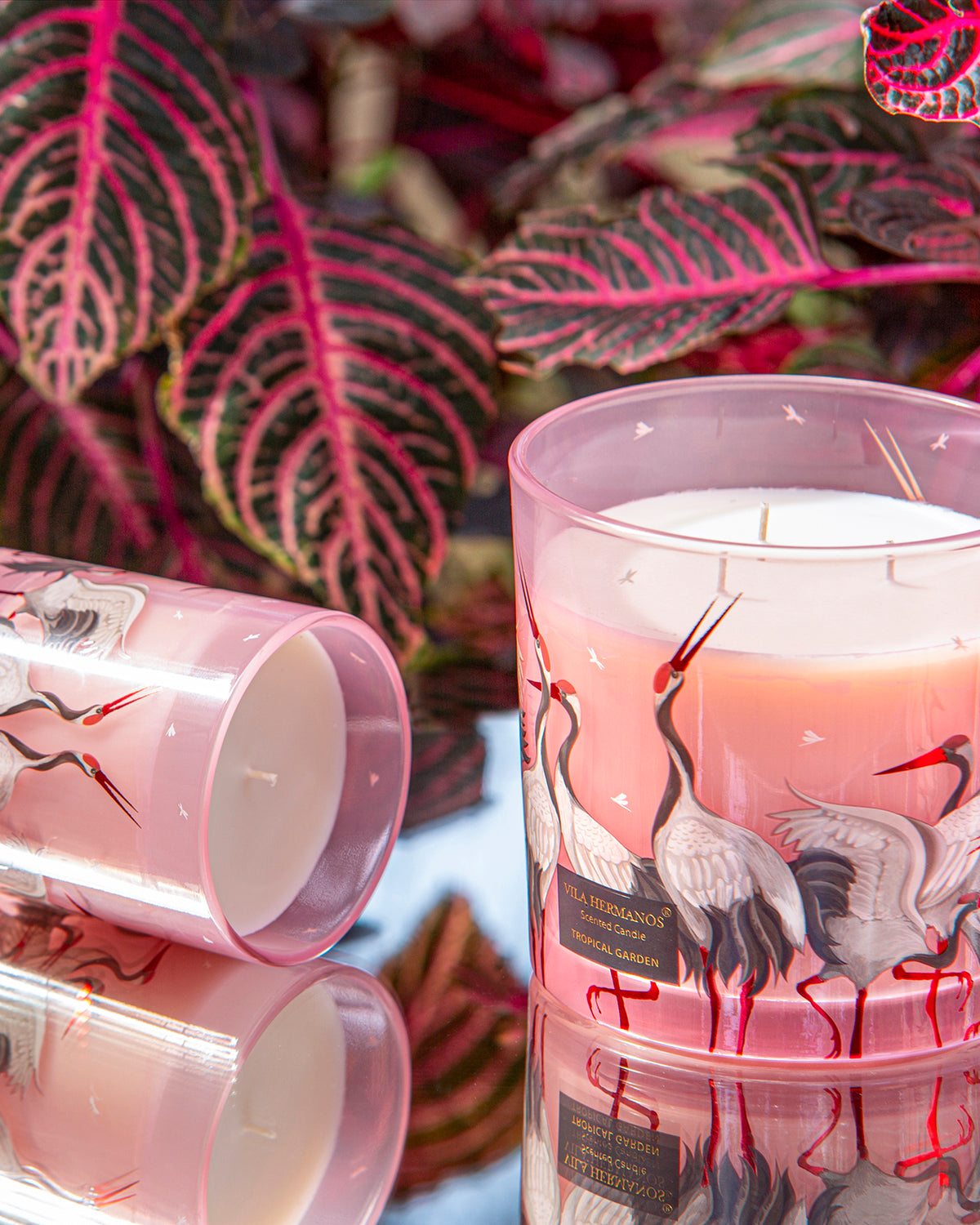 Candle in Jar JUNGLETOPIA FLAMINGO PINK 650gr