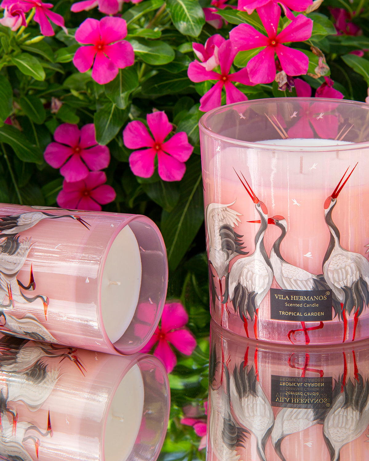 Candle in Jar JUNGLETOPIA FLAMINGO PINK 650gr