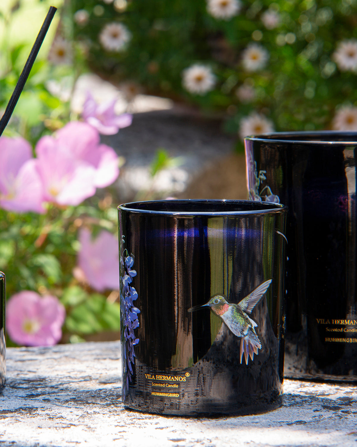 Candle in Jar JUNGLETOPIA COLIBRI HUMMINGBIRD 1450gr