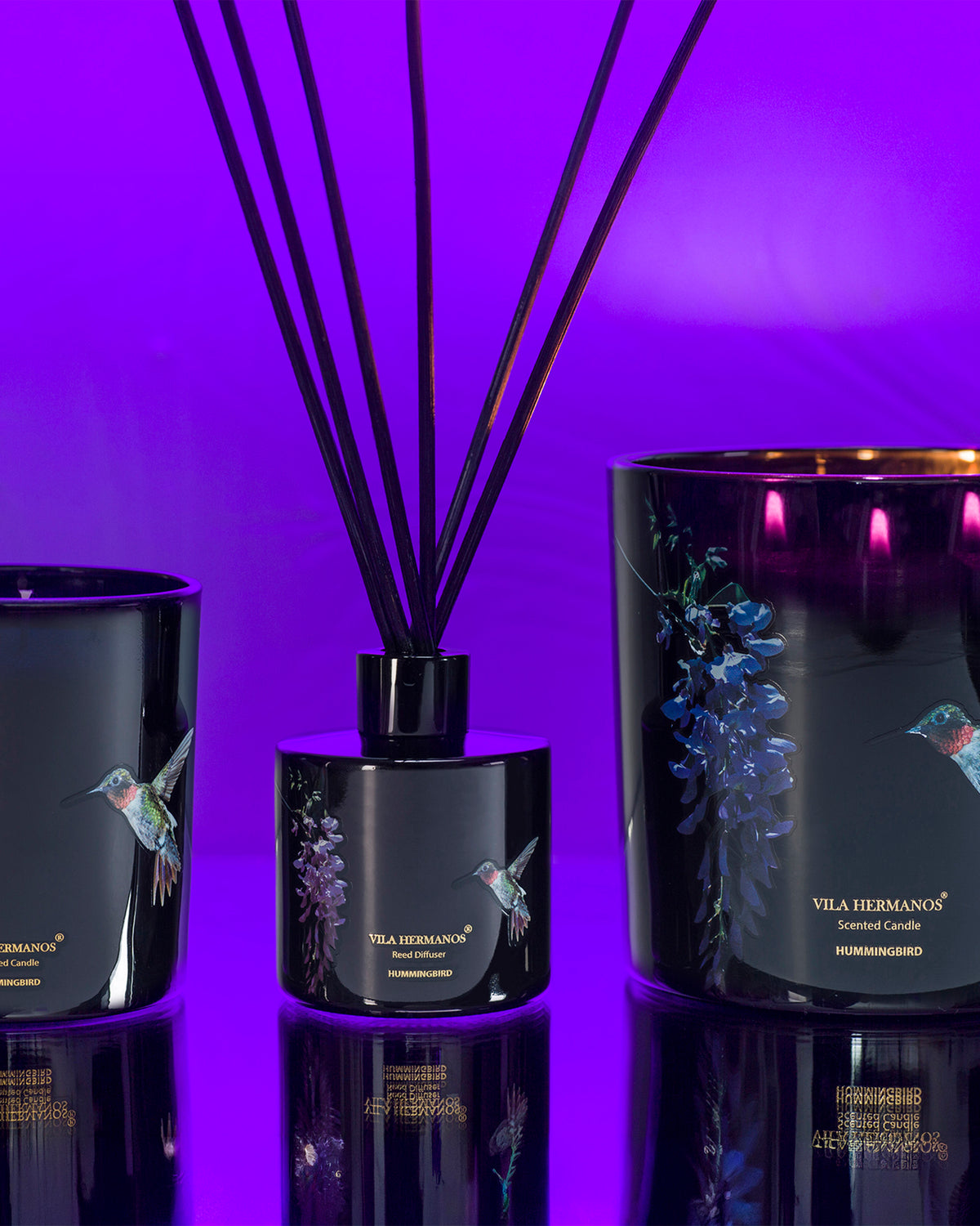 Candle in Jar JUNGLETOPIA COLIBRI HUMMINGBIRD 1450gr