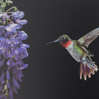 Candle in Jar JUNGLETOPIA COLIBRI HUMMINGBIRD 1450gr