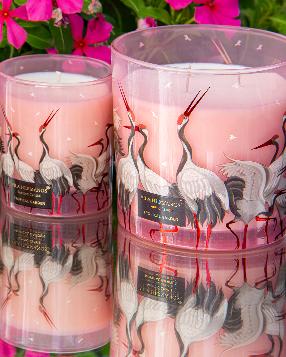Candle in Jar JUNGLETOPIA FLAMINGO PINK 1450gr