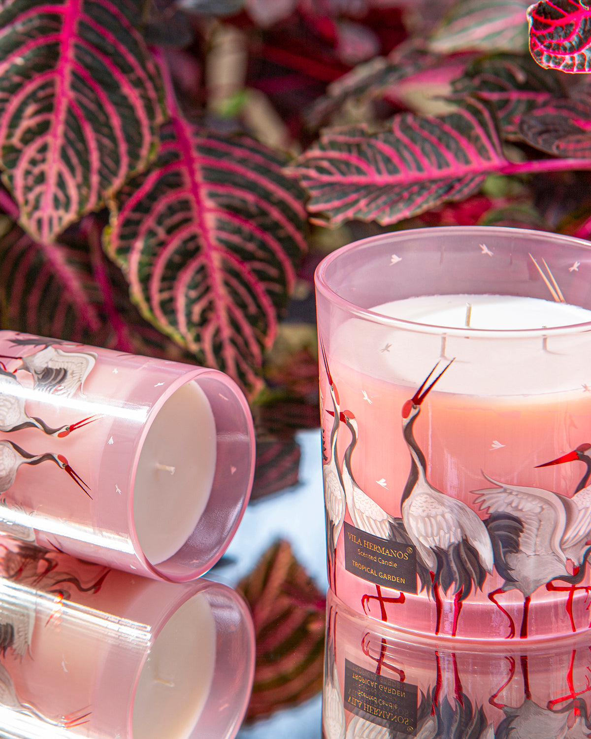 Candle in Jar JUNGLETOPIA FLAMINGO PINK 1450gr