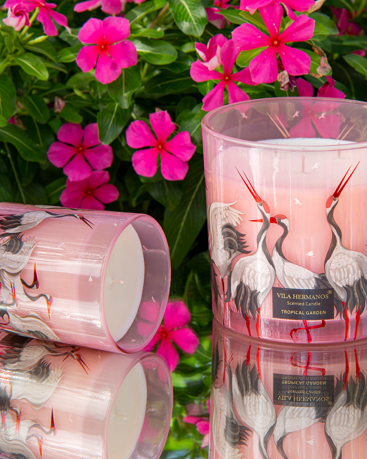 Candle in Jar JUNGLETOPIA FLAMINGO PINK 1450gr