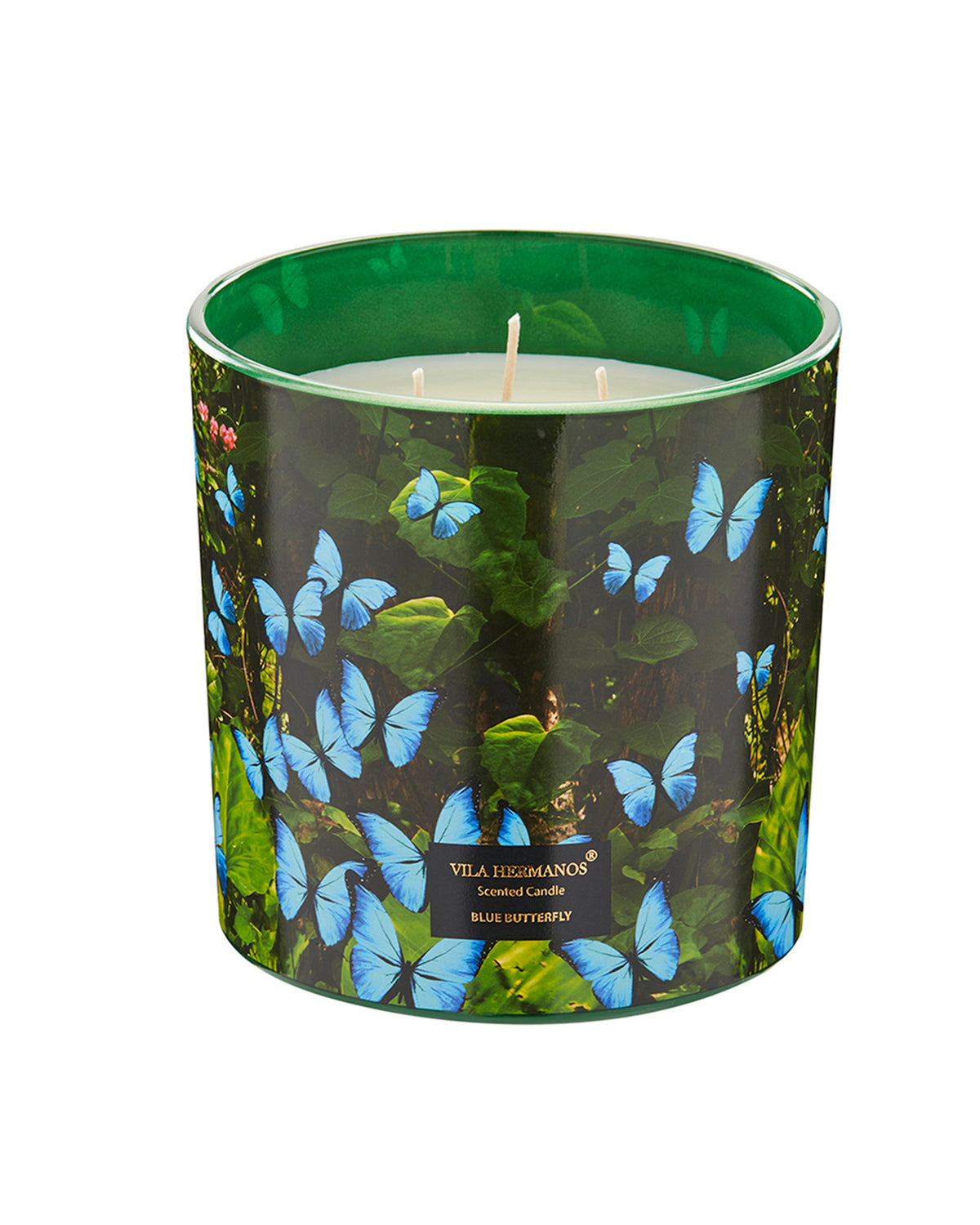 Candle in Jar JUNGLETOPIA BUTTERFLY 1450gr