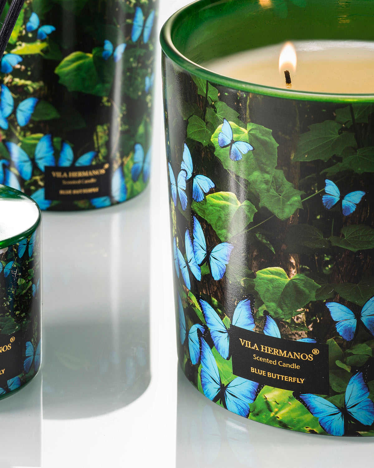 Candle in Jar JUNGLETOPIA BUTTERFLY 1450gr