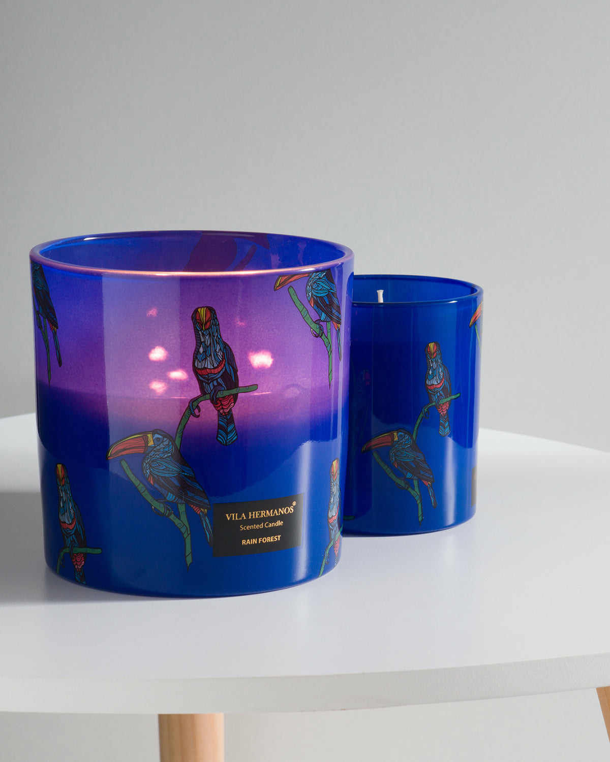 Candle in Jar JUNGLETOPIA TOUCAN RAIN FOREST 1450gr