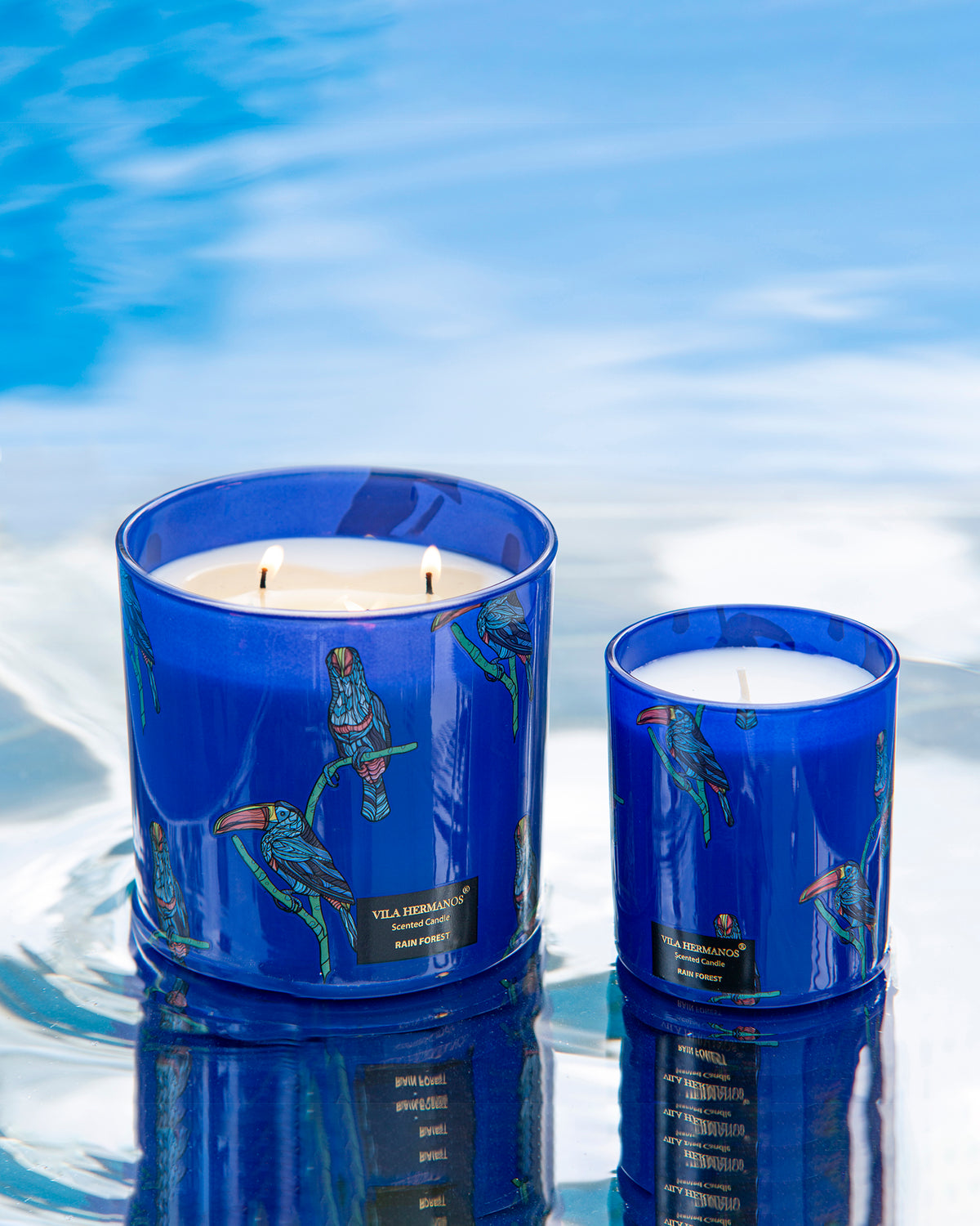 Candle in Jar JUNGLETOPIA TOUCAN RAIN FOREST 1450gr
