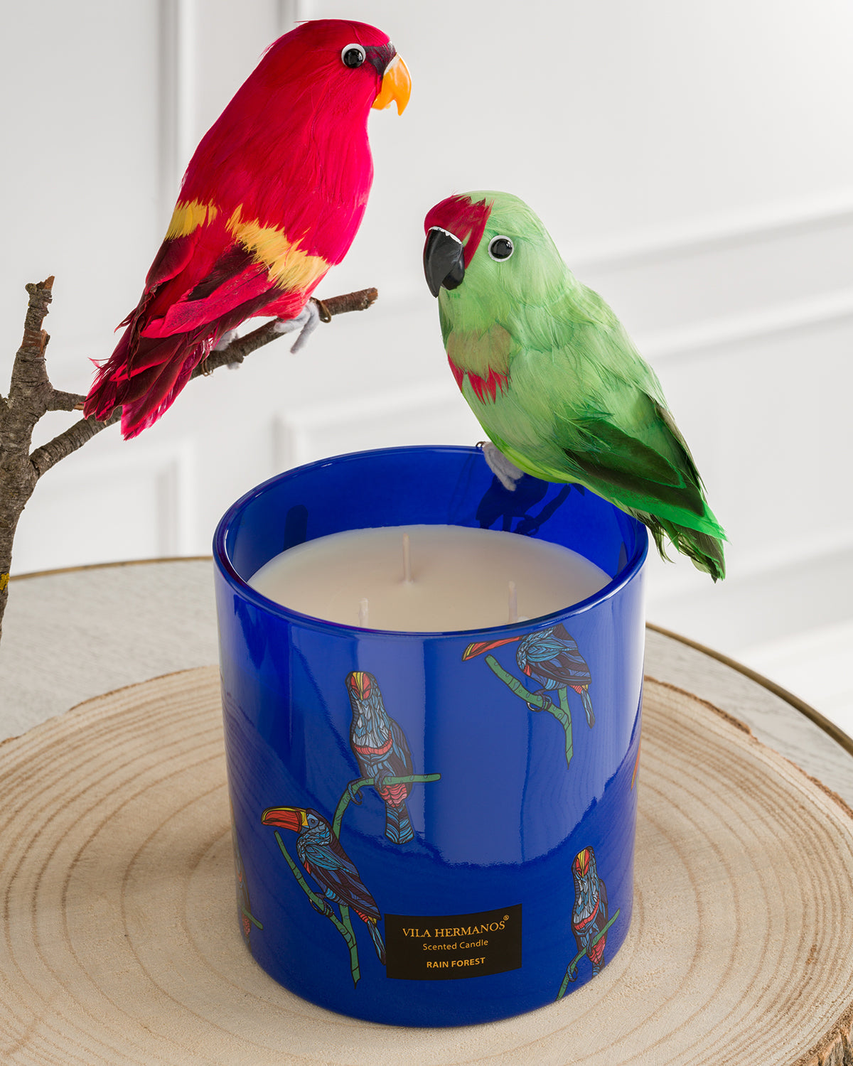 Candle in Jar JUNGLETOPIA TOUCAN RAIN FOREST 1450gr