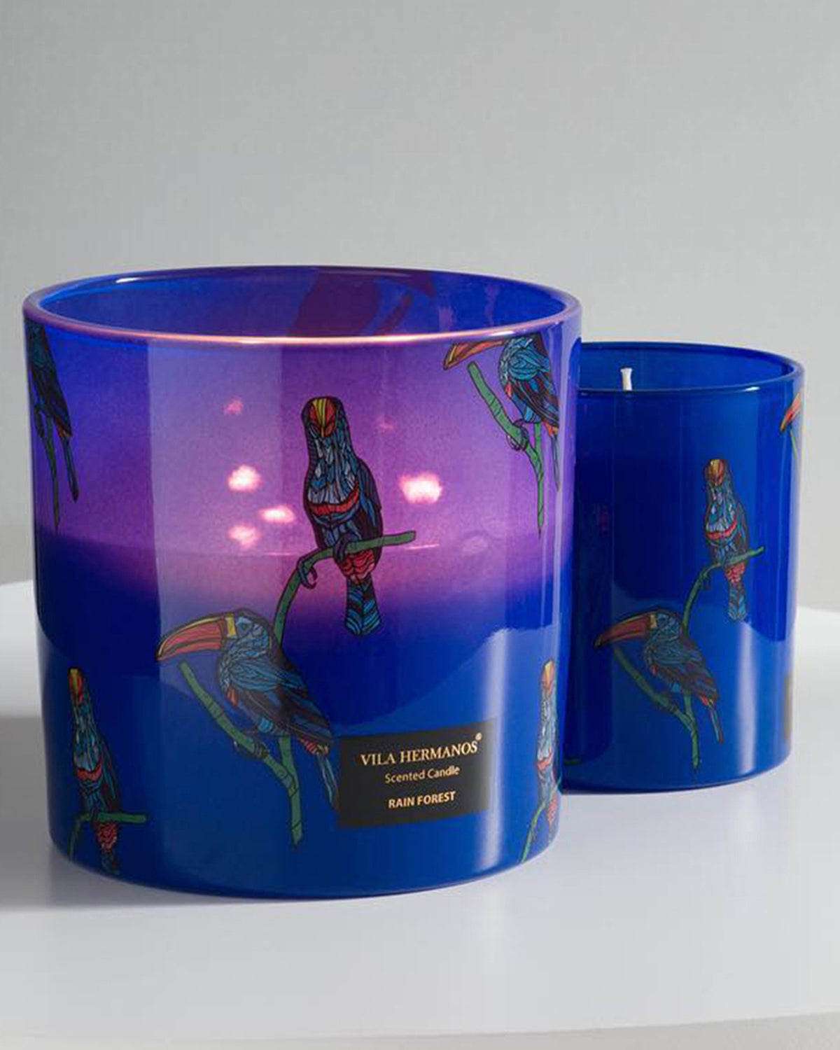 Candle in Jar JUNGLETOPIA TOUCAN RAIN FOREST 1450gr