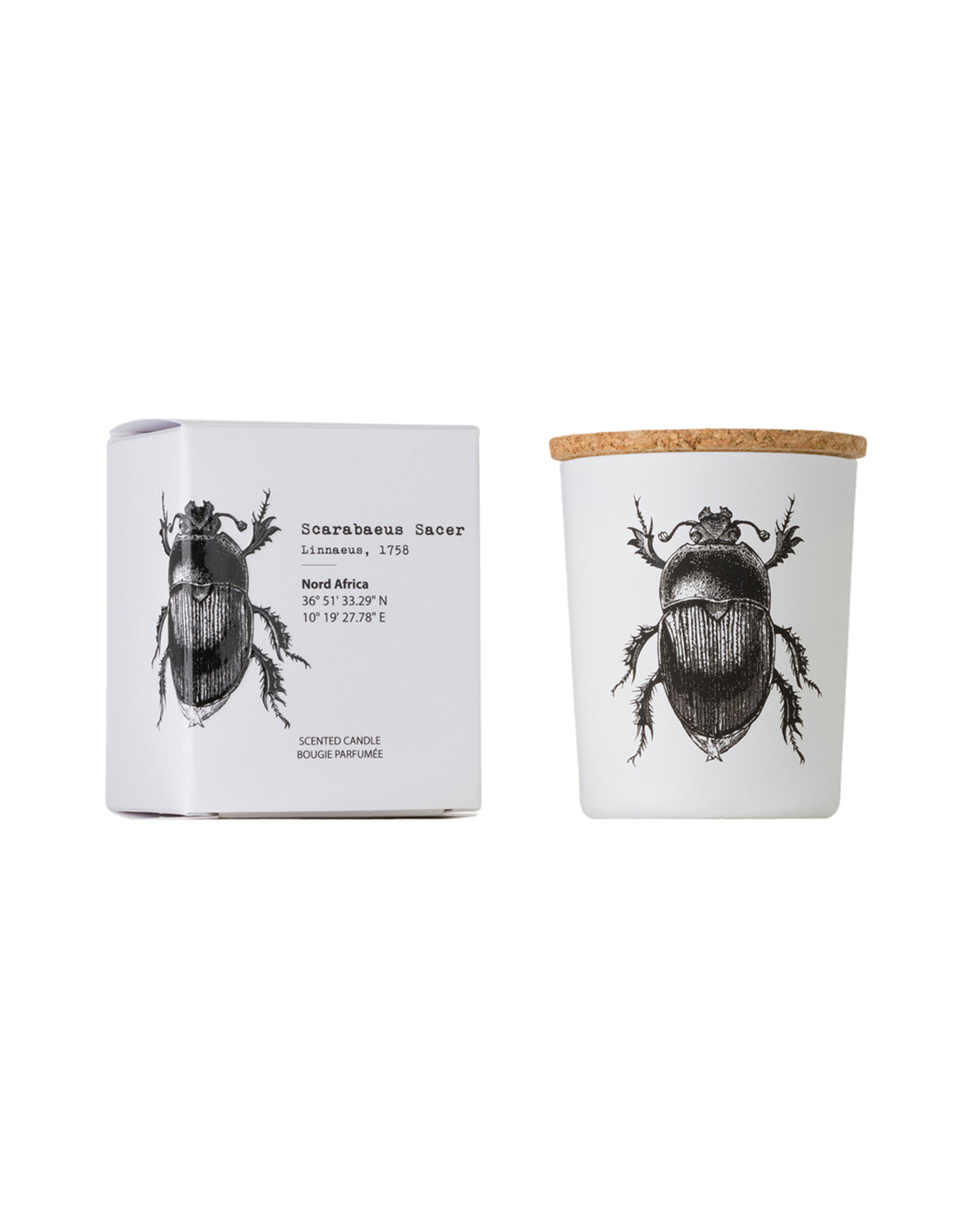 Candle in Jar INSECT Wood Wick 3oz Scarabeus Sacer