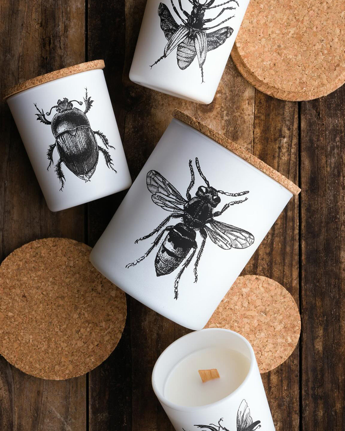 Candle in Jar INSECT Wood Wick 3oz Scarabeus Sacer