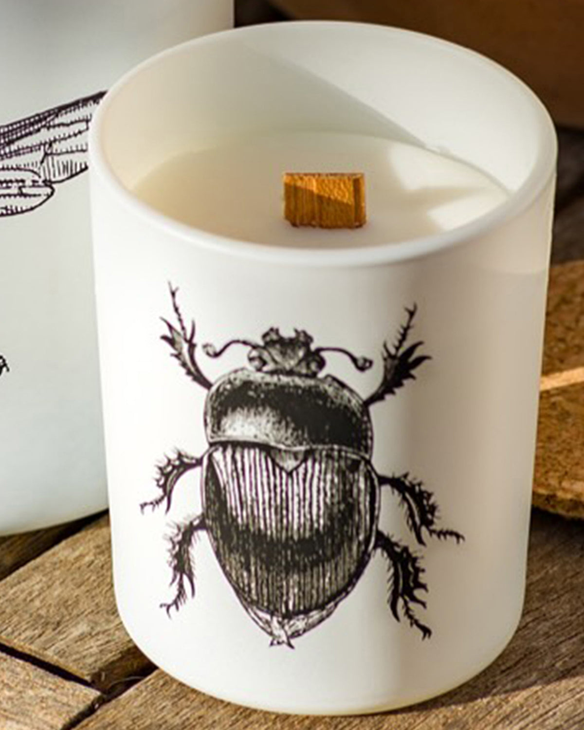 Candle in Jar INSECT Wood Wick 3oz Scarabeus Sacer