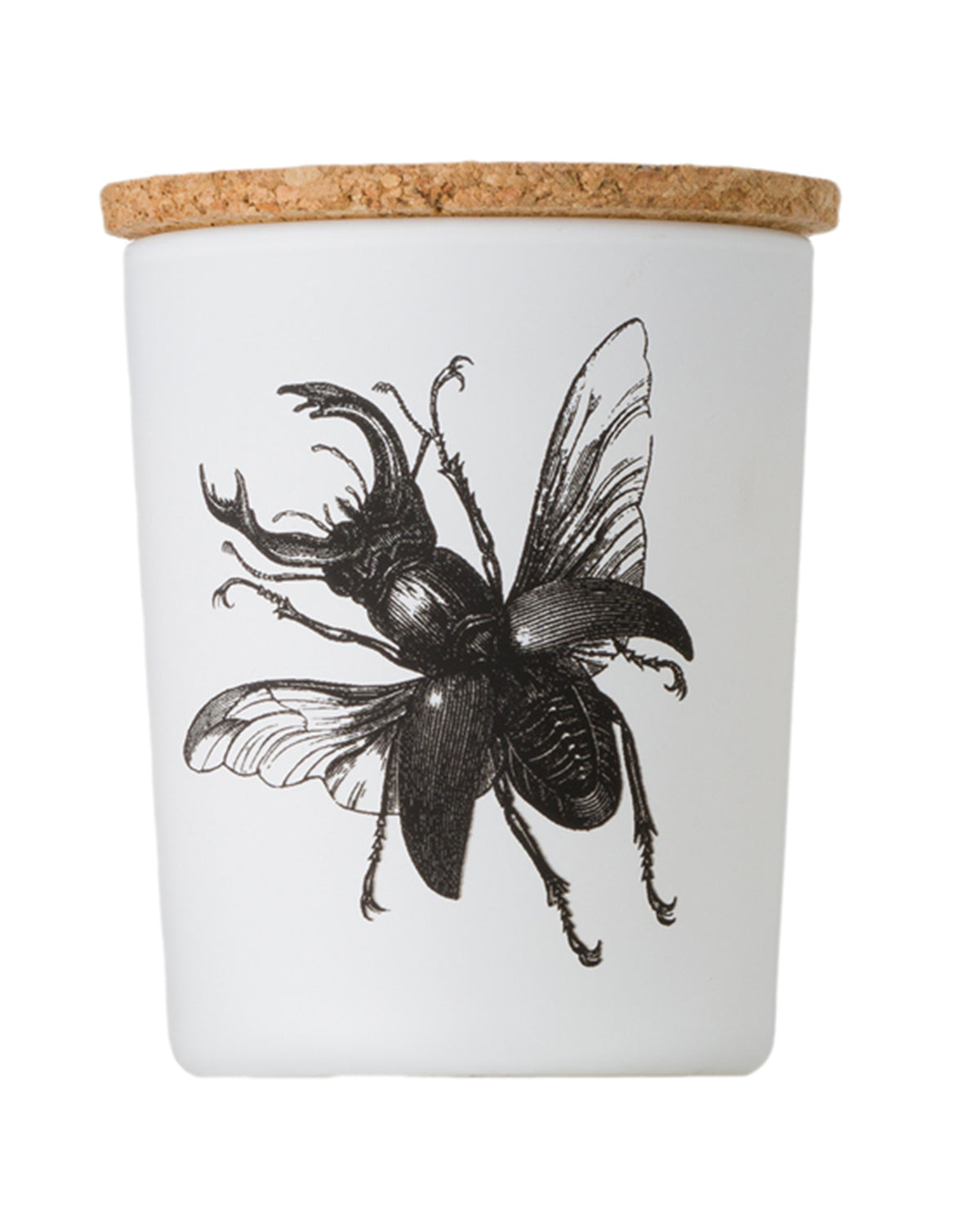 Candle in Jar INSECT Wood Wick 3oz Lucanus Cervus