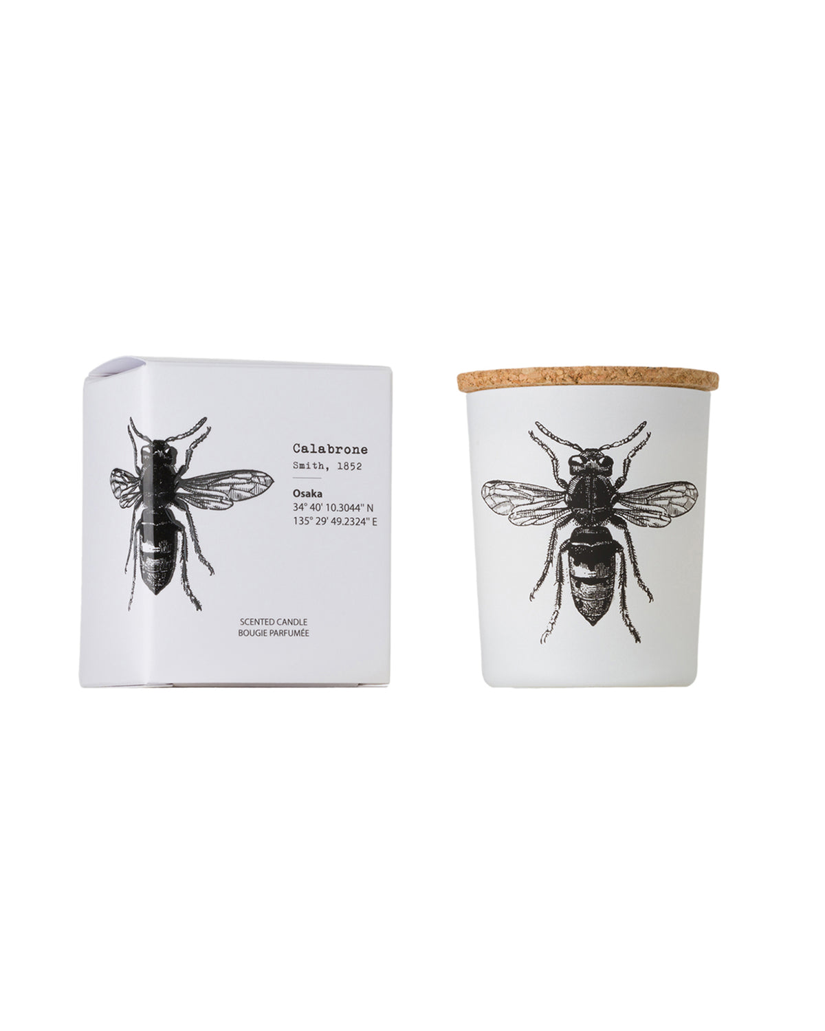 Candle in Jar INSECT Wood Wick 3oz Calabrone