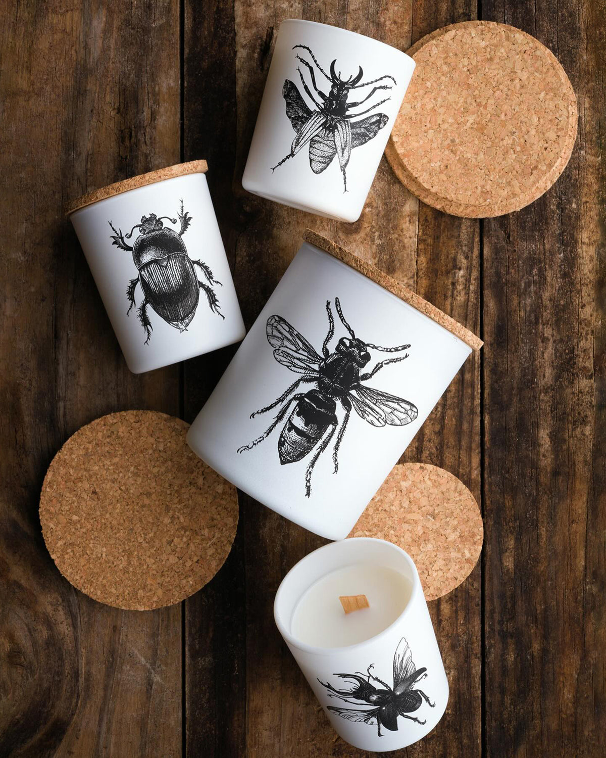 Candle in Jar INSECT Wood Wick 3oz Calabrone