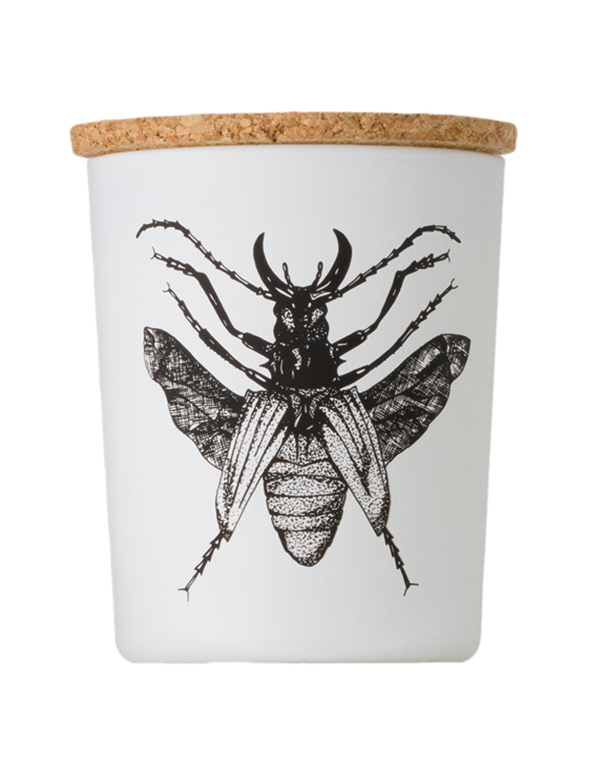 Candle in Jar INSECT Wood Wick 3oz Dorysthenes Walkeri