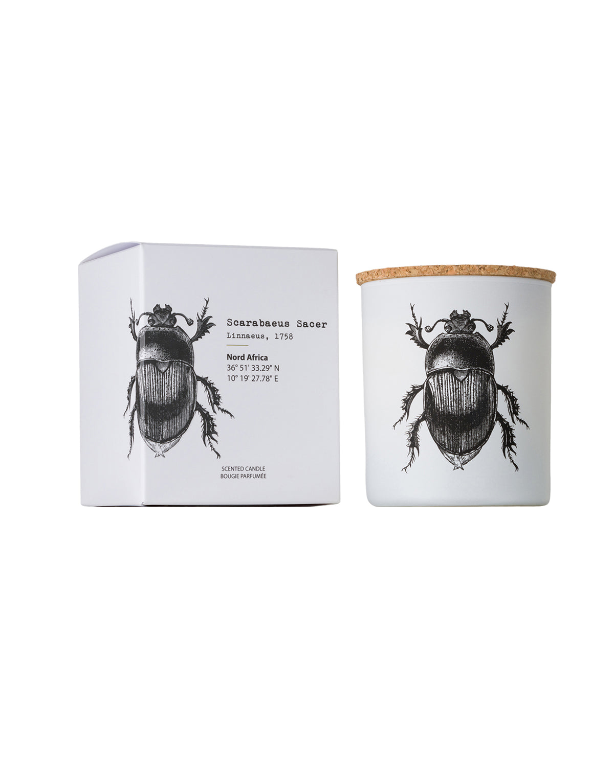 Candle in Jar INSECT Wood Wick 7oz Scarabeus Sacer