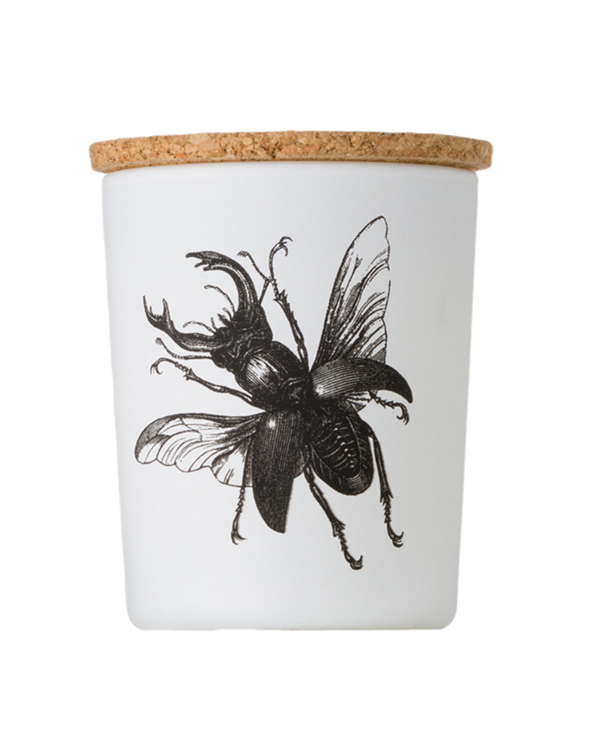 Candle in Jar INSECT Wood Wick 7oz Lucanus Cervus